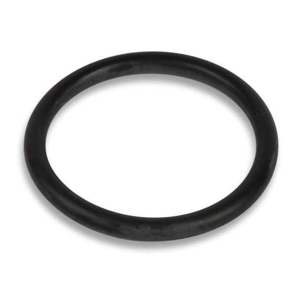 O-Ring für 5/8 Zoll Stößel für KEG Zapfköpfe Flach Typ A Micro Matic